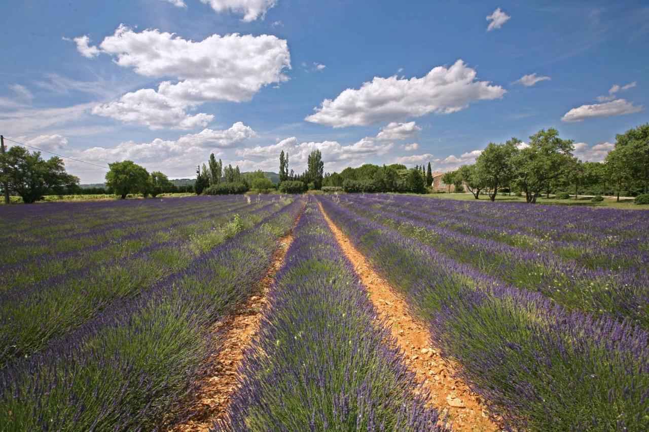 Gites Dans Mas En Pierres Robion en Luberon Dış mekan fotoğraf